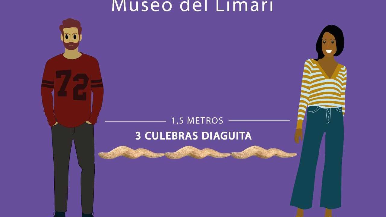 Algunas de las tareas de los alumnos de diseño fue en apoyo de la difusión del museo y sus colecciones