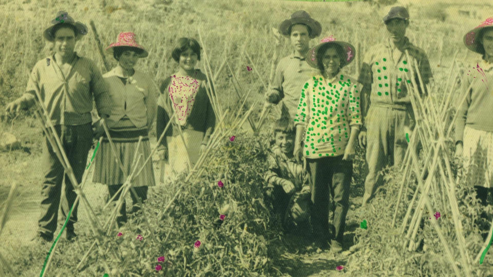 Los recuerdos de la comunidad en torno a la producción tomatera