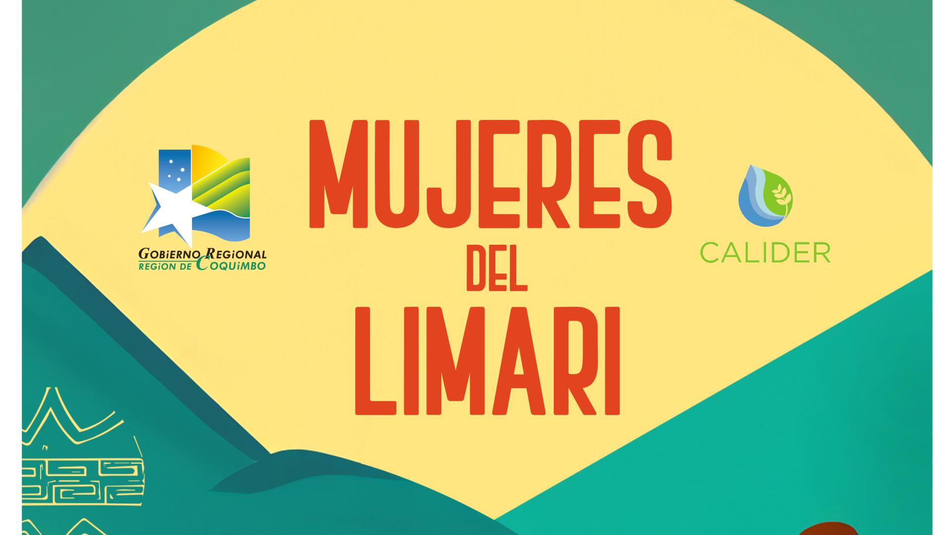 El libro recoge el aporte de diversas mujeres a la Provincia del Limarí