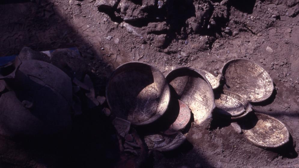 La colección Pisco Control será beneficiada con el proyecto