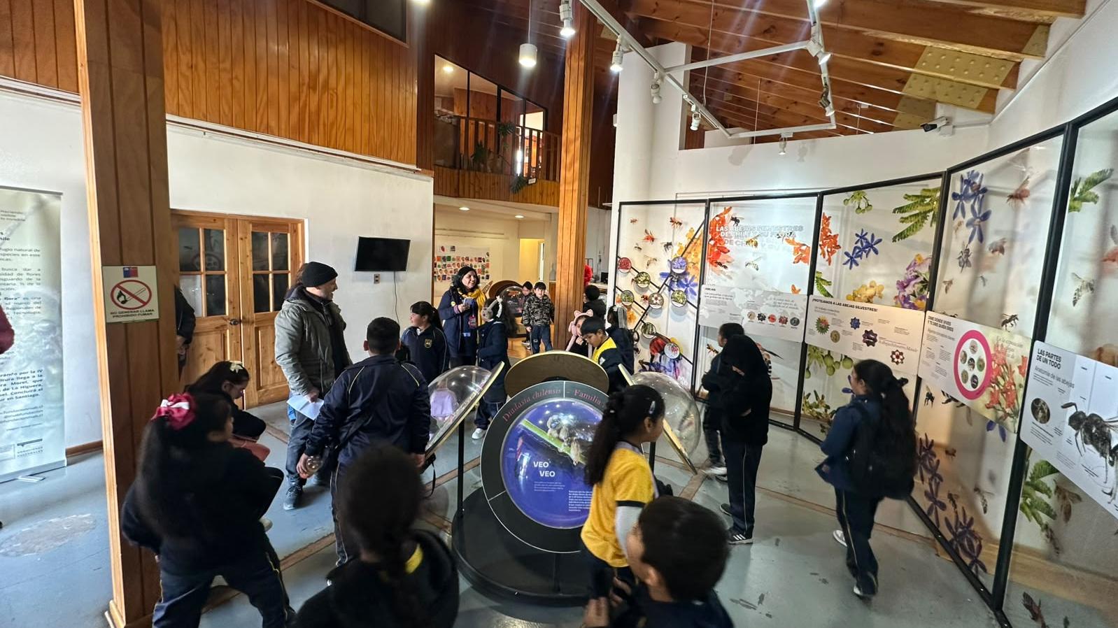 Los creadores pueden postular a exponer en el museo en el 2027