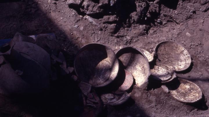 La colección Pisco Control será beneficiada con el proyecto