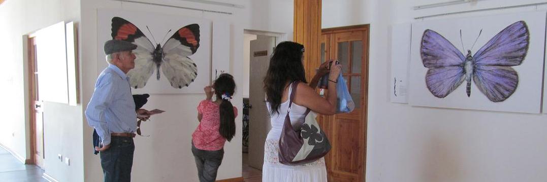 Los artistas o artesanos pueden postular a exhibir sus creaciones durante el 2024
