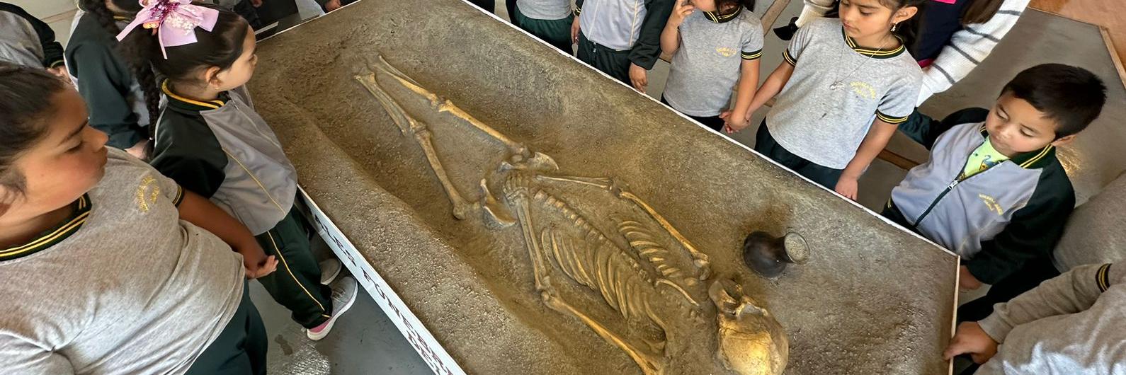 Imagen de archivo de muestra similar a la que se estrenará