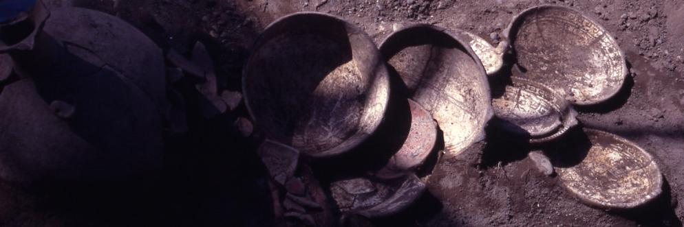 La colección Pisco Control será beneficiada con el proyecto