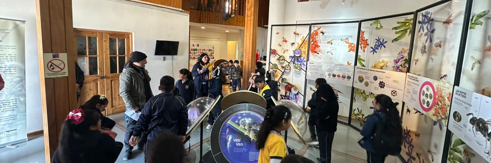 Los creadores pueden postular a exponer en el museo en el 2027