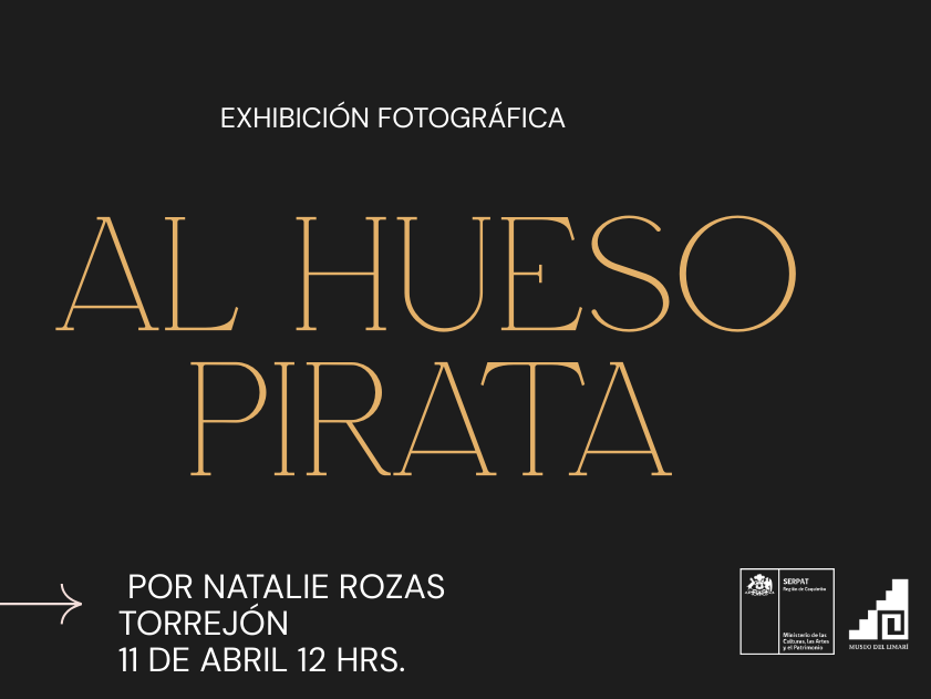 La exposición describe una mirada crítica sobre el paisaje coquimbano