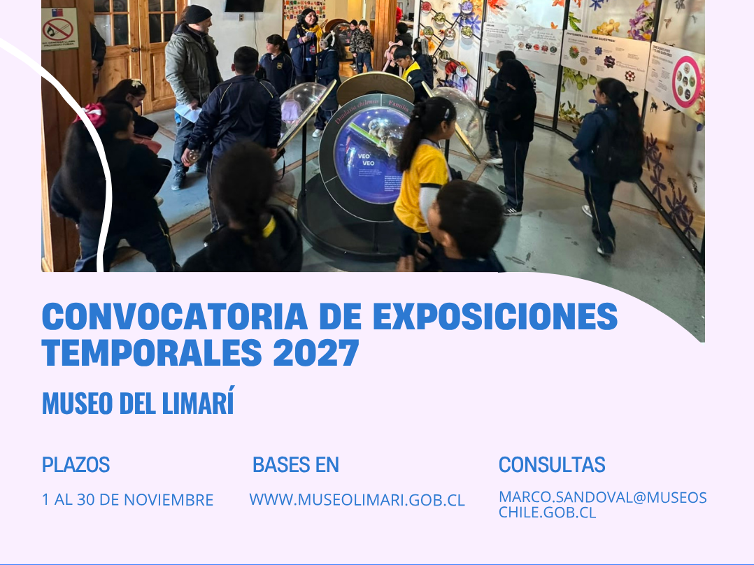 El Museo del Limarí hace un llamado a los artistas a participar de este proceso