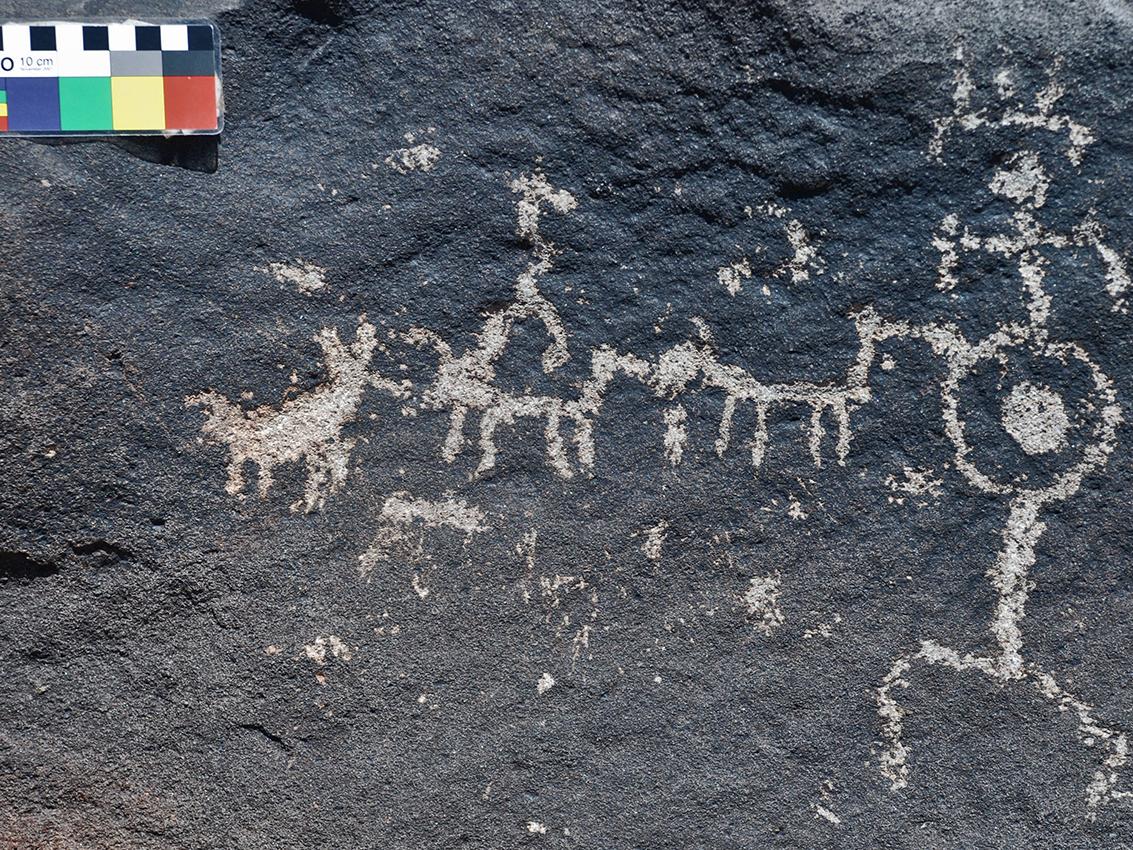 Petroglifo de figura antropomorfa con tocado junto a camélidos