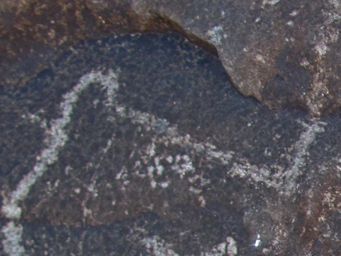 Petroglifo de cabeza esquemática