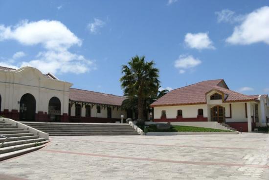 El Museo del Limarí organizó una serie de actividades virtuales para el Día del Patrimonio