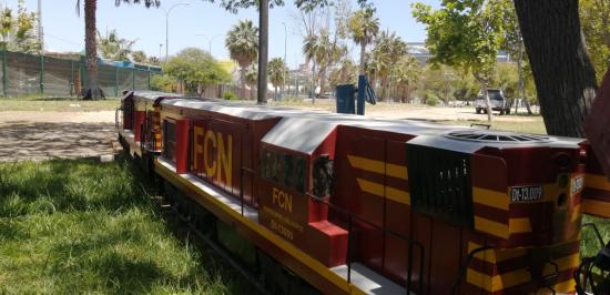 El tren es una réplica de las locomotoras GR 12 que recorrían la zona norte en la década de los sesenta