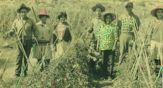 Los recuerdos de la comunidad en torno a la producción tomatera