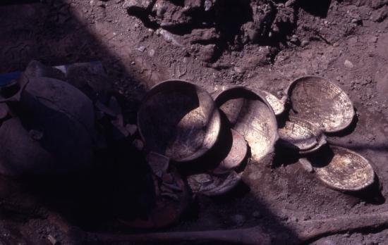 La colección Pisco Control será beneficiada con el proyecto