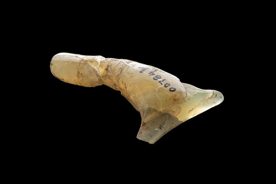 Tembetá tipo botellita curvo