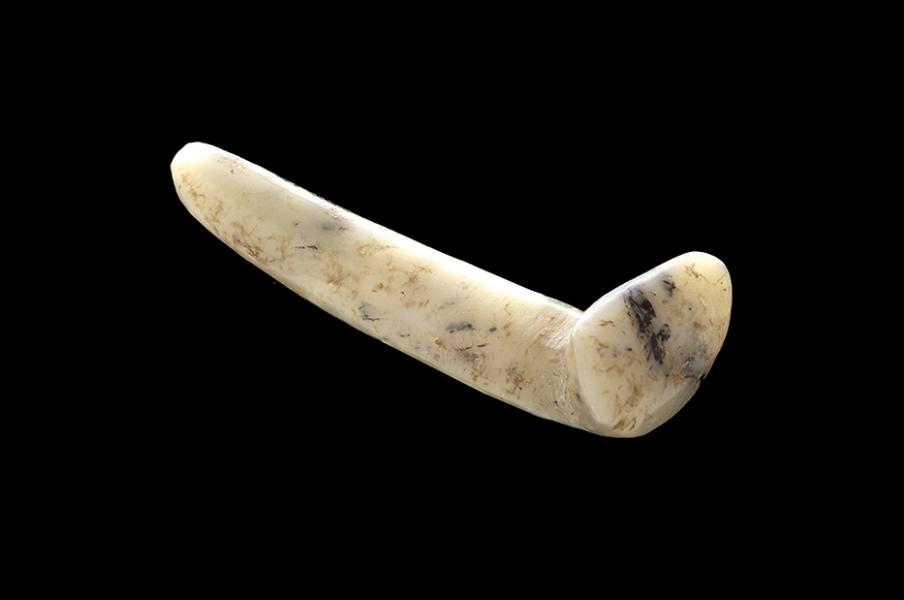 Tembetá tipo cilíndrico aguzado curvo