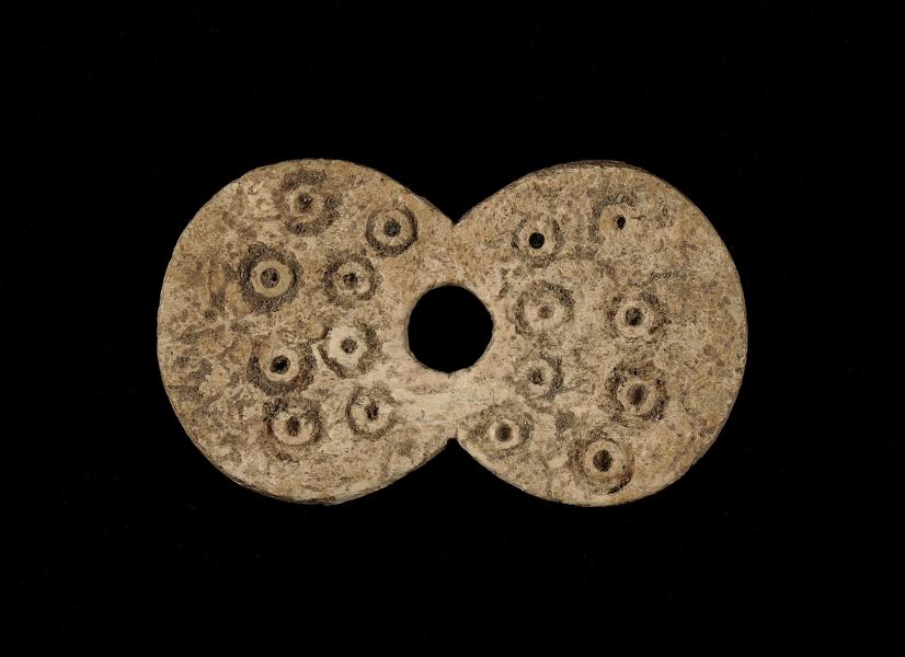 Tortera bicircular (cara superior)